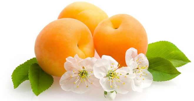 ÖĞRENCİLERDEN KAYISIYI KURTARACAK İLGİNÇ PROJE