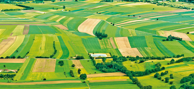 TARIM ARAZİLERİ SATIŞI NİSANDA BAŞLAYACAK