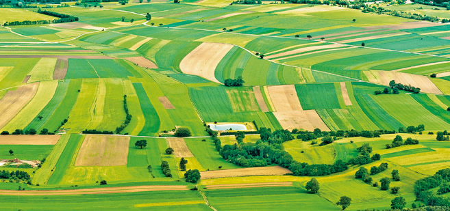 BAKANLIK MİRAS TARIM ARAZİLERİ İÇİN DÜĞMEYE BASTI