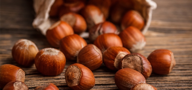 TÜRK FINDIĞINA RAKİP ÇIKTI