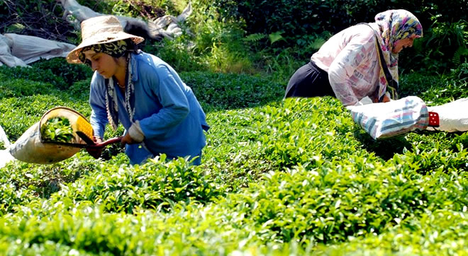 KADIN ÇİFTÇİLER DAHA ÇOK DESTEKLENSİN