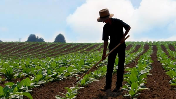 GENÇ ÇİFTÇİLERE HİBE DESTEĞİNİN BAŞVURU KOŞULLARI NELERDİR