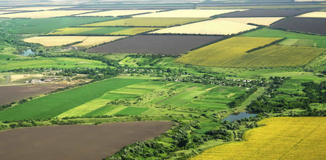 MİRASÇILAR DİKKAT ARAZİNİZ SATILABİLİR