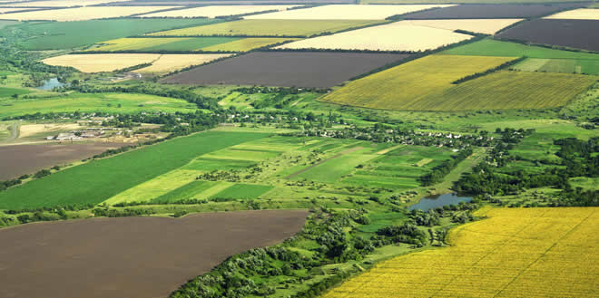 TARIM ARAZİLERİ VATANDAŞLARA SATILACAK