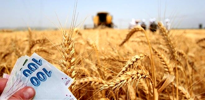 HUBUBAT BAKLAGİL VE MISIRDA PRİM İÇİN SON 3 GÜN