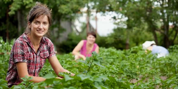 GENÇ ÇİFTÇİLERE BİR MÜJDE DAHA GELDİ