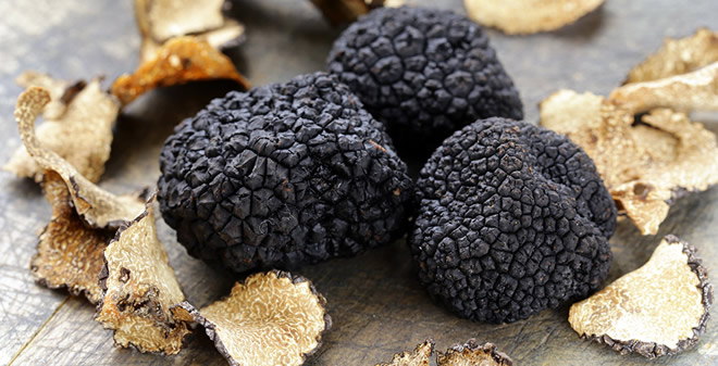 MANİSA DA SİYAH ELMAS ORMANI BULUNDU