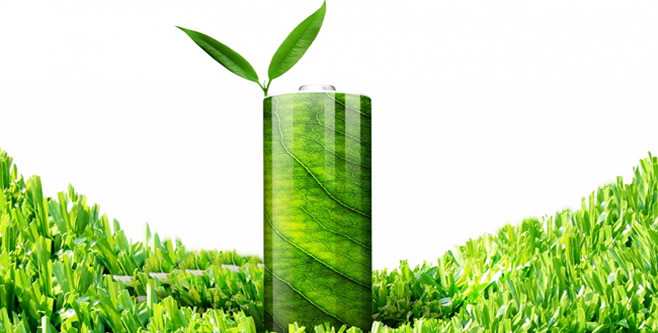 YAPRAKTAN DA PİL OLUR MU DEMEYİN