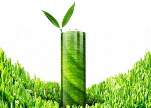 YAPRAKTAN PİL OLUR MU DEMEYİN