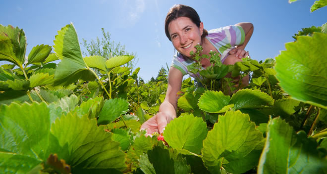 GENÇ ÇİFTÇİLERE 30 BİN LİRA HİBE MÜJDESİ