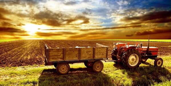 TÜRK TARIMI PİYASALAR KATEGORİSİNDE SINIFTA KALDI