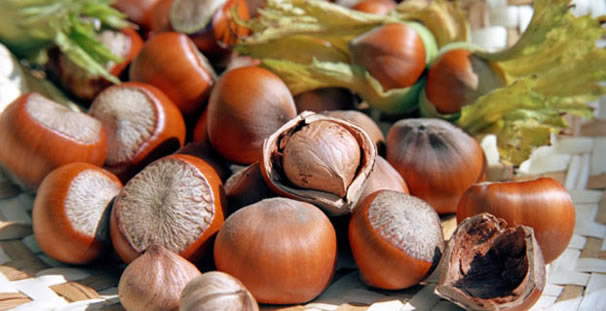 FINDIĞIN YENİ BİR SIRRI DAHA ORTAYA ÇIKTI