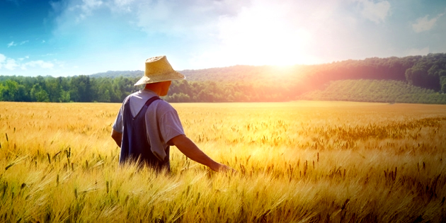 HİBE ALAMAYAN GENÇLER DİKKAT