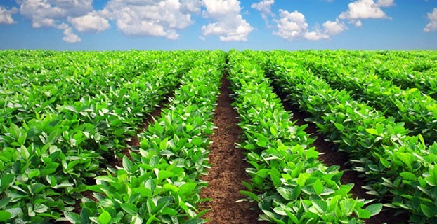 AKDENİZ TARIMI GEP PROJESİ İLE GELİŞECEK