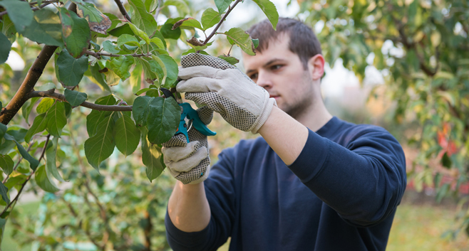 GENÇ ÇİFTÇİLERE HİBE DESTEĞİ İÇİN BAŞVURULAR BAŞLIYOR