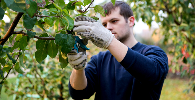 GENÇ ÇİFTÇİLERE DOLANDIRICILIK UYARISI