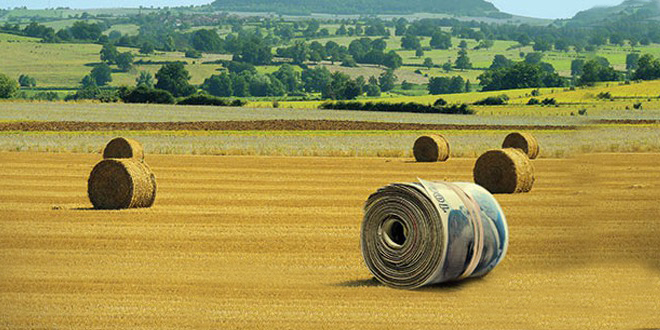 ÇİFTÇİLERE MÜJDE DESTEKLEMELERİN SÜRESİ UZATILDI