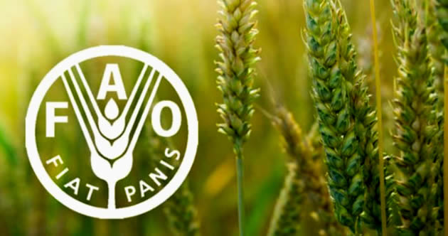 TARIMIN GELECEĞİ ANTALYA DA KONUŞULACAK