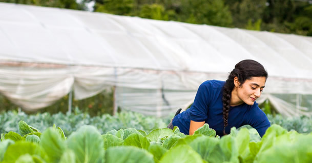 GENÇ ÇİFTÇİ PROJESİNE REKOR BAŞVURU