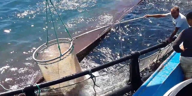 DESTEK YOK ÜRETİCİ MEMNUN