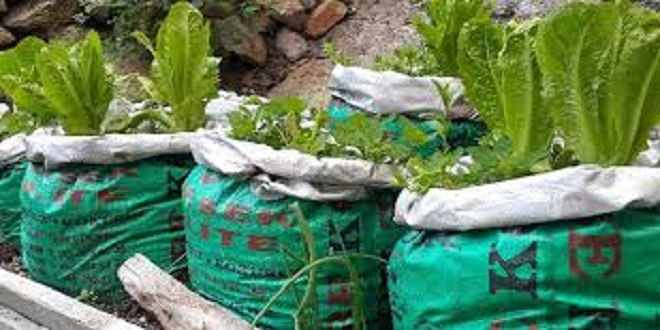 BİRİM ALANA ALTERNATİF