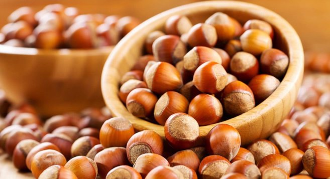 FINDIK İÇİN KRİTİK AÇIKLAMA