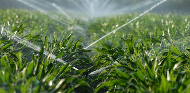 BİREYSEL SULAMA DESTEKLERİ NELERİ KAPSIYOR