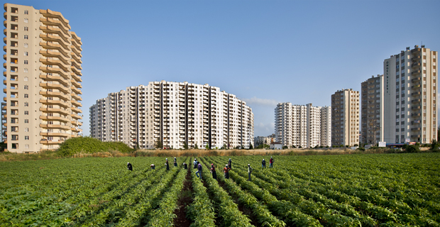 HER 2 SANİYEDE BİR FUTBOL SAHASI KADAR TARIM ARAZİSİ YOK OLUYOR