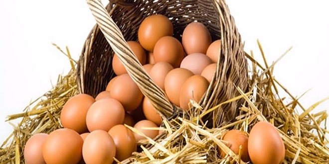 YUMURTAYA KİRLİ OYUN