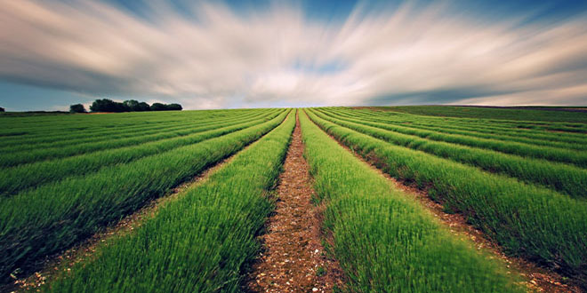 KIRSAL KALKINMA YATIRIM PROJELERİNE SÜRE UZATIMI