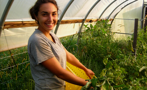 GENÇ ÇİFTÇİLERE HİBE DESTEĞİNDE SON DÖRT GÜN