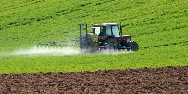 KIRSAL YATIRIM PROJELERİNDE SÜRE UZATILDI