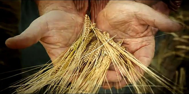 ÇİFTÇİ BORÇLARI DESTEĞİN 6 KATI