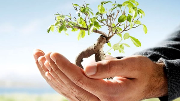 TARIM SİGORTALARINA DEVLET DESTEĞİ ARTIRILDI