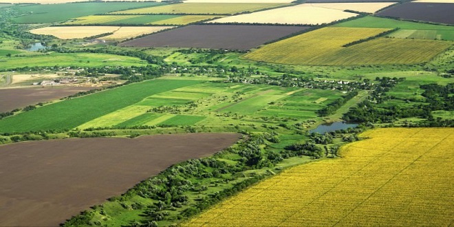 BU PROJE MİRASÇILARI KARIŞTIRACAK