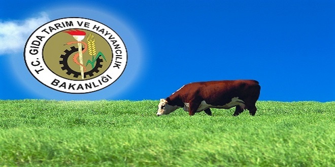 DESTEKLERİN YOLU AÇILDI