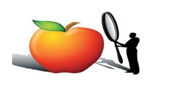 ARTIŞ GÖSTEREN TEK ALAN KALİTE VE GÜVENLİK OLDU