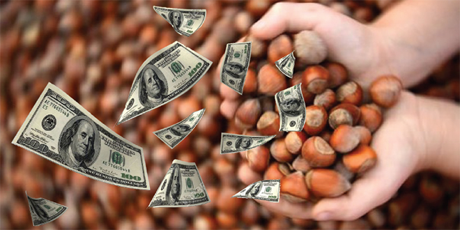 TÜRKİYE 700 MİLYON DOLAR KAYBETTİ