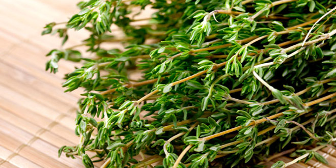 DÜNYANIN İHTİYACINI TÜRKİYE KARŞILIYOR