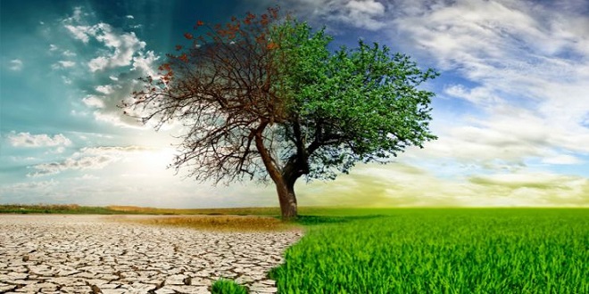 YENİ TÜRLER DE UMUT VERMİYOR