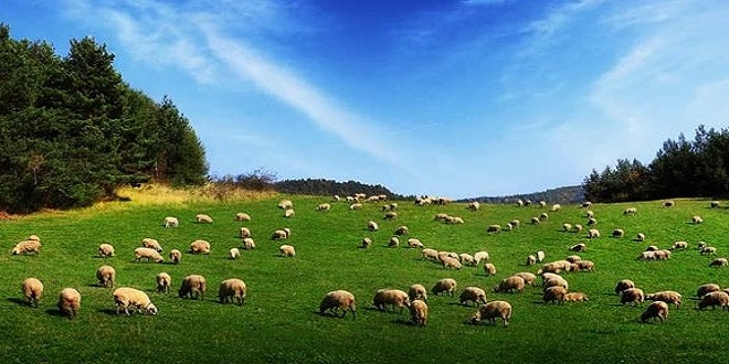 BAZI ÇIKARLAR GELECEĞİ SÖMÜRÜYOR