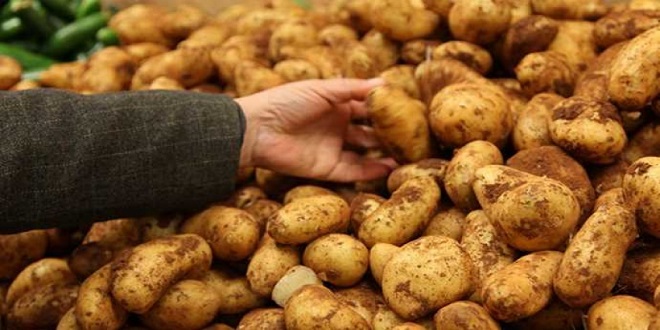 YİRMİ KİLO PATATES BİR ÇAY ETMİYOR