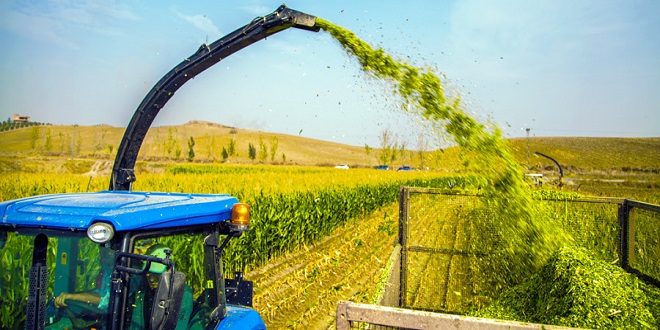 KÜÇÜK HOLLANDA DA SİLAJ ÜRETİMİNDE ARTIŞ YAŞANIYOR