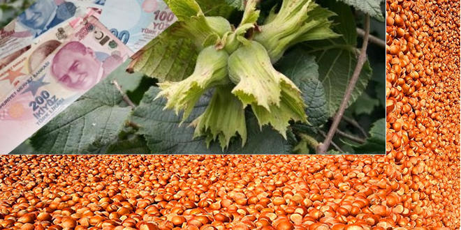 SON FİYATLARI YENİ MAHSULLER BELİRLEYECEK