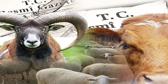 YETİŞTİRİCİ BİRLİKLERİNE DÜZENLEME GELDİ