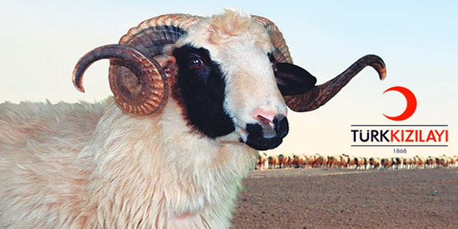 TÜRK KIZILAYI KURBAN FİYATLARINI AÇIKLADI