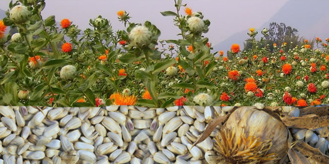 ASPİR YÜZ GÜLDÜRMEYE DEVAM EDİYOR