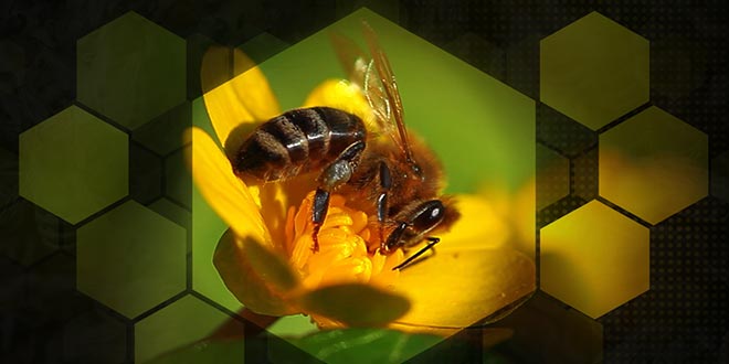 BAŞVURU YAPACAKLARA DİKKAT