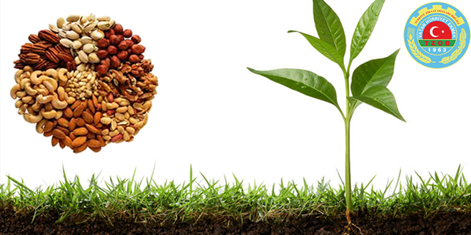 BAYRAKTAR UYARDI SON TARİH 2 EYLÜL