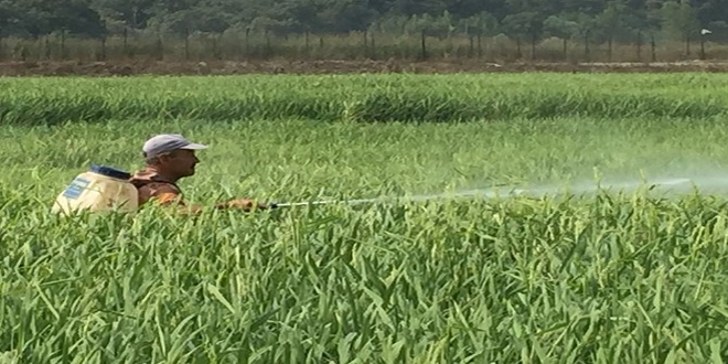 ZİRAİ MÜCADELE KAR ETMİYOR